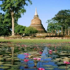 lilies, ruins, trees, viewes, water, Pond - car