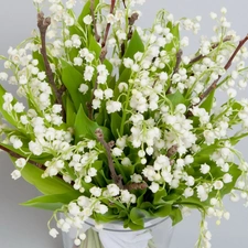 Vase, bouquet, Lily of the Valley