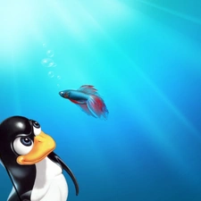 penguin, fighter, Linux, fish