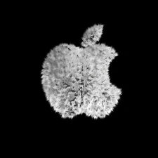 Apple, logo