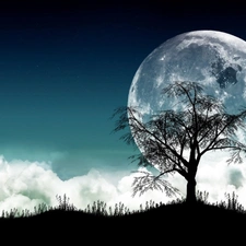 logo, Apple, trees, Night, moon