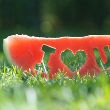 watermelon, confession, Love things, grass