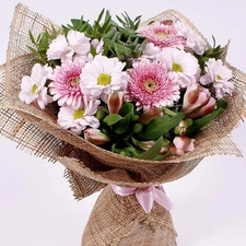 marguerites, bouquet, Astrów