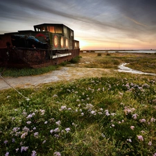 Meadow, wreck, boat