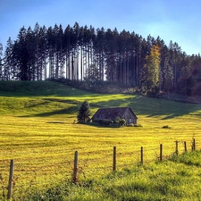 ligh, Field, forest, flash, house, summer, Meadow, luminosity, sun, Przebijające