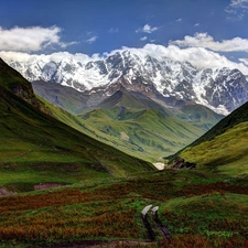 Mountains, Meadow