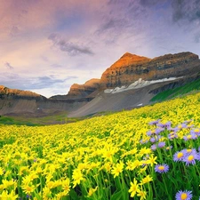 Meadow, Spring, Mountains