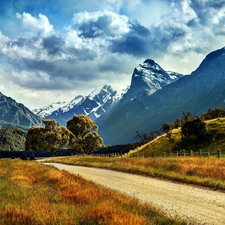 medows, Way, mountain, forest, peaks