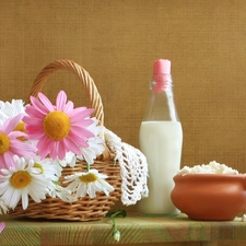 milk, Cottage cheese, daisy, Bottle, basket