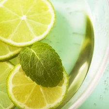 mint, slices, lemons