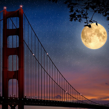 moon, bridge, Night