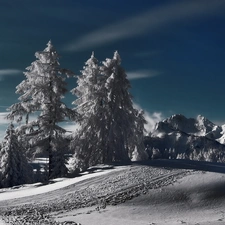 trees, Night, moon, snow, viewes, Mountains