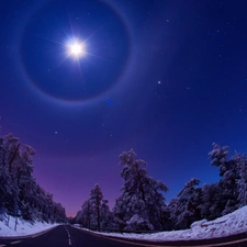 winter, forest, moon, Way