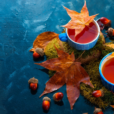 cups, tea, Acorns, Moss, Leaf, Blue