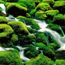 waterfall, Moss