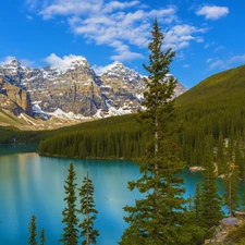 Spruces, lake, forest, Province of Alberta, trees, Mountains, Moraine Lake, Canada, Banff National Park, viewes