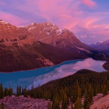 Peyto Lake, Banff National Park, rocks, trees, Alberta, Canada, Mountains, clouds, viewes