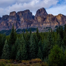 Castle Mountain, Banff National Park, trees, Mountains, Canada, forest, viewes