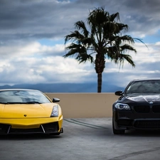 Mountains, clouds, Lamborghini, Palm, BMW F10