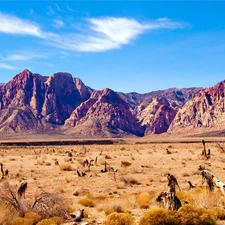 Desert, Mountains