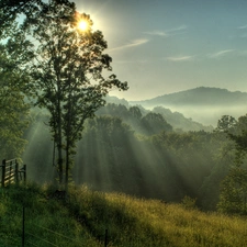 forest, light breaking through sky, fence, Mountains, Meadow