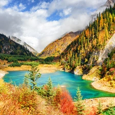 Mountains, Jiuzhaigou National Park, trees, lake, China, The Hills, viewes