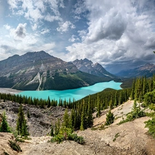 Spruces, Peyto, clouds, Banff National Park, trees, lake, Mountains, Canada, Province of Alberta, viewes