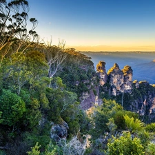 Mountains, rocks, Plants