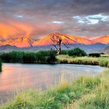 River, Bush, Mountains, scrub