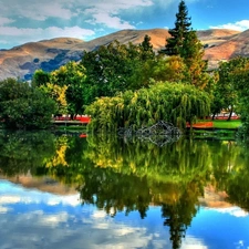 River, viewes, Mountains, trees