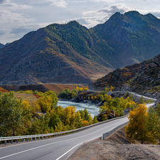 autumn, trees, Russia, viewes, Altai, Way, River, Mountains