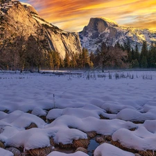 grass, dry, snow, Sierra Nevada, Mountains, winter, viewes, The United States, Yosemite Valley, trees, Yosemite National Park, California