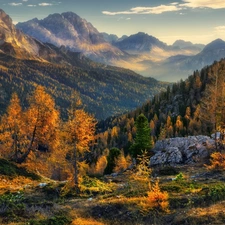 autumn, Alps, Stones, Dolomites, Italy, Mountains, Spruces