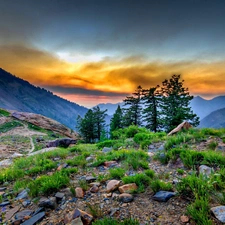 trees, clouds, Mountains, viewes