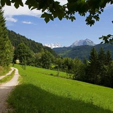 Way, viewes, Mountains, trees
