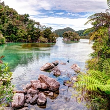 Mountains, woods, Stones, fern, River