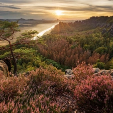 River Elbe, Sunrise, trees, viewes, Saxon Switzerland National Park, Germany, rocks, Děčínská vrchovina, heathers