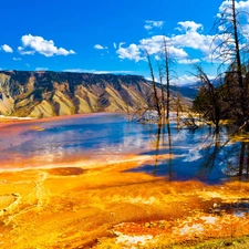 viewes, Mountains, Montana, trees, lake, National Park, Canada