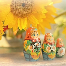 Nice sunflowers, babushka