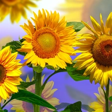 Flowers, Nice sunflowers, 2D, Three