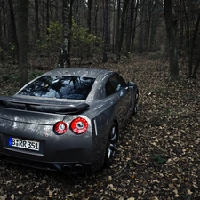 Nissan GTR, forest