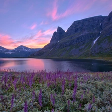 Meadow, Mountains, Norway, lake