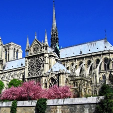 chair, Paris, France, Notre Dame