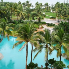 Palms, horizon, Ocean, Pool