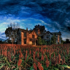 house, Field, Old car