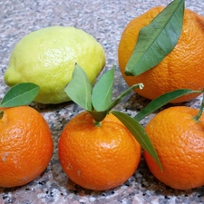 Fruits, Lemon, orange, citrus