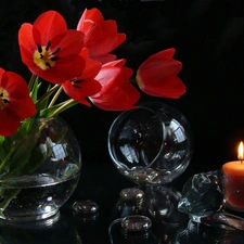 Tulips, decoration, Orb, candle, Glass, Red