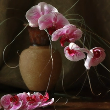 orchids, Brown, Vase