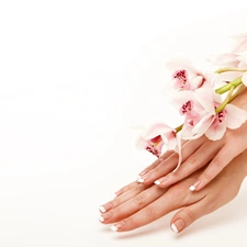 orchids, hands, Womens