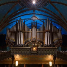 organ